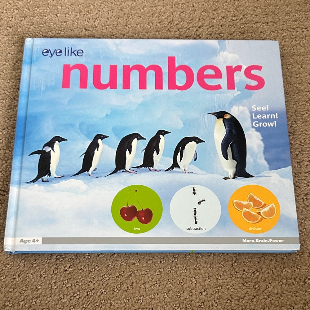 Numbers See Learn Grow